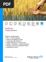 Endress+Hauser FieldCare SFE500 Overview | PDF | Microsoft Windows ...