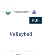 Petrescu Volleyball