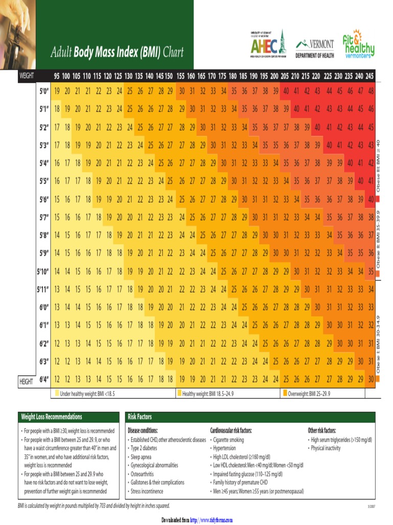 Adult BMI Chart and Weight Loss Guide | PDF | Body Mass Index | Obesity
