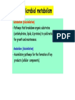 3-Bacterial Physiology and Genetics 9