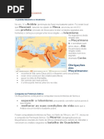 Resumo Sobre a Ocupação Muçulmana