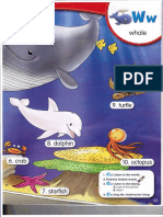 PDF