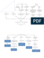 pathway sepsis neonatal.docx