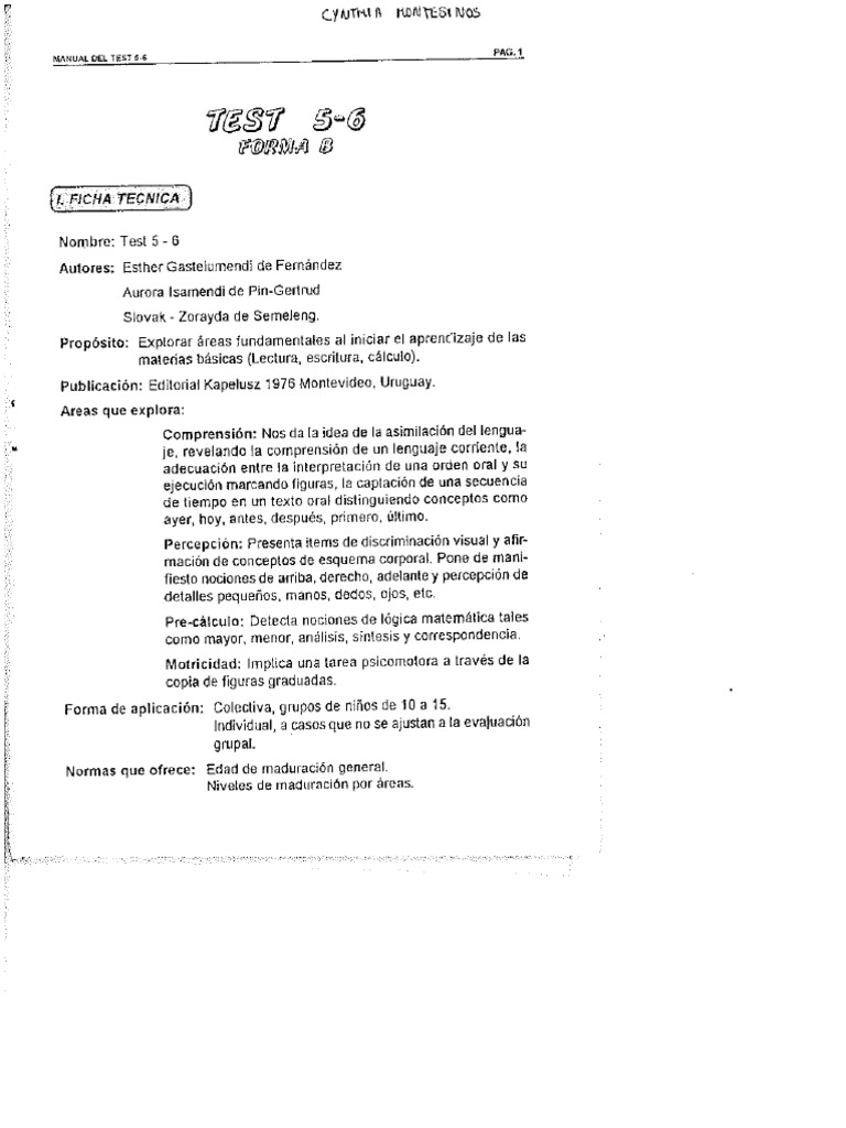 Test 5 y 6 Madurez para El Aprendizaje (Manual) | PDF