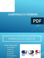 Aminoglucosidos Final