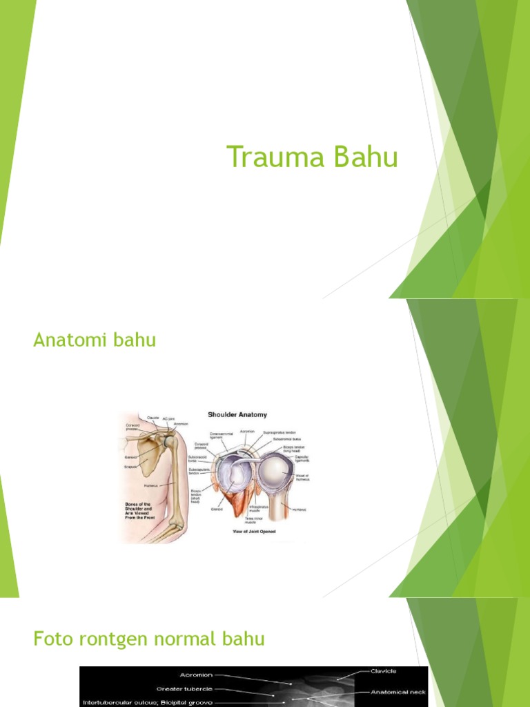 Panduan Rontgen Trauma Bahu dan Fraktur | PDF | Sains & Matematika
