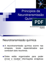 Princípios Da Neurotransmissão Química: Dra. Meiriélle Martins Meneghini Psiquiatria