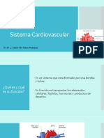 Sistema Cardiovascular II