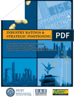 NBP_StrategicPos-2013.pdf