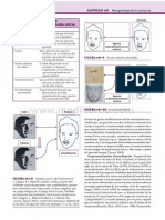 71072218 Ejercicio Para Practicar Los Adverbios