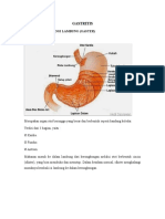 Gastritis: 1. Anatomi Fisiologi Lambung (Gaster) Lambung