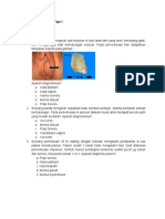 SOAL AIPKI TIPE 1.pdf