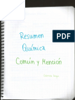 Química Común y Mención.pdf