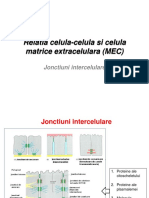 CC4 - Relatie celula-MEC PDF