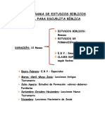 Organigrama de Estudios Biblicos Anual para Escuelita Bíblica PDF