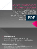 Los Alimentos Transgénicos en La Olímpica La Ceiba