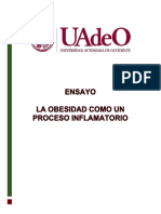 La Obesidad Como Un Proceso Inflamatorio