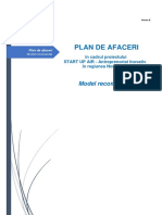 Anexa-8_Model-plan-afaceri.docx