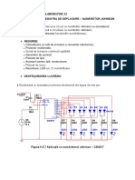 12 Numarator-Johnson PDF