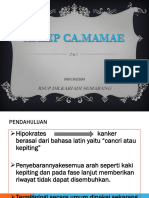 CA Mamae PDF