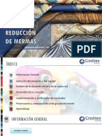proyecto-creditex-reduccion-de-mermas.pdf