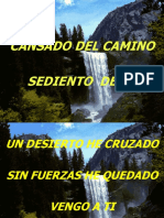 Cansado Del Camino