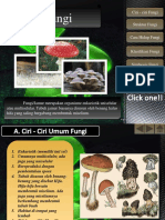 ppt fungi