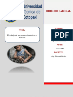 Ensayo 3 Trabajo de Los Menores de Edad en El Ecuador