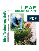 Leaf Color Chart English PDF