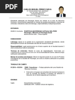 Modelo de Cv Por Habilidades 3