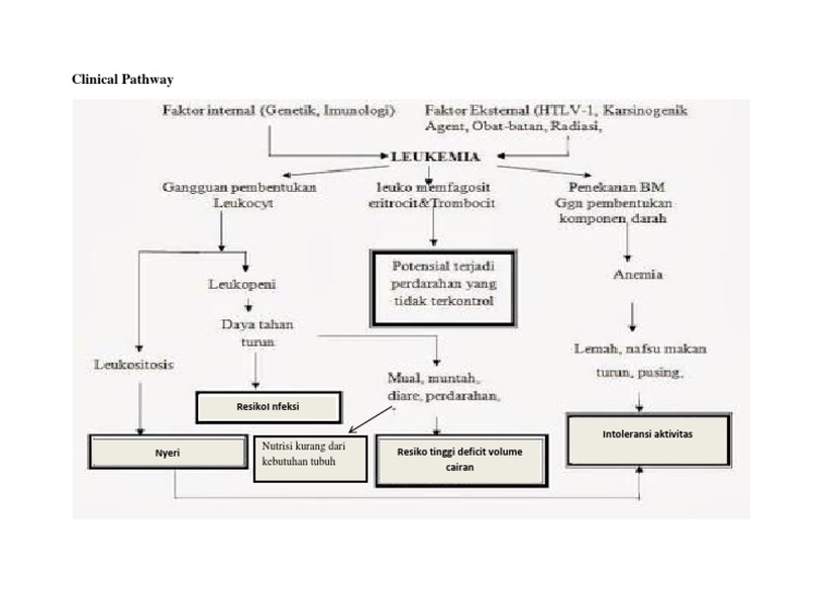 Pathway Leukemia | PDF