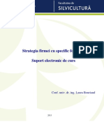 5- strategia_firmei in domeniul forestier.pdf
