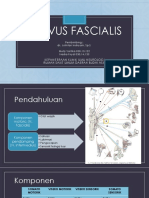 Neuroanatomi: Nervus Fascialis