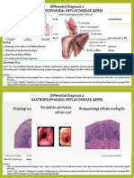 Modul 1 Onko DD 2