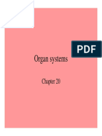 Organ Systems (Read-Only) PDF