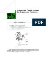 Struktur Dan Fungsi Jaringan Dan Organ Pada Tumbuhan PDF