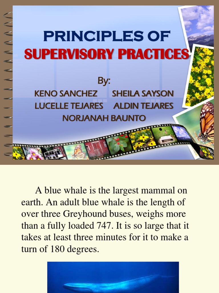 Principles of Supervisory Practices | PDF | Science | Motivation