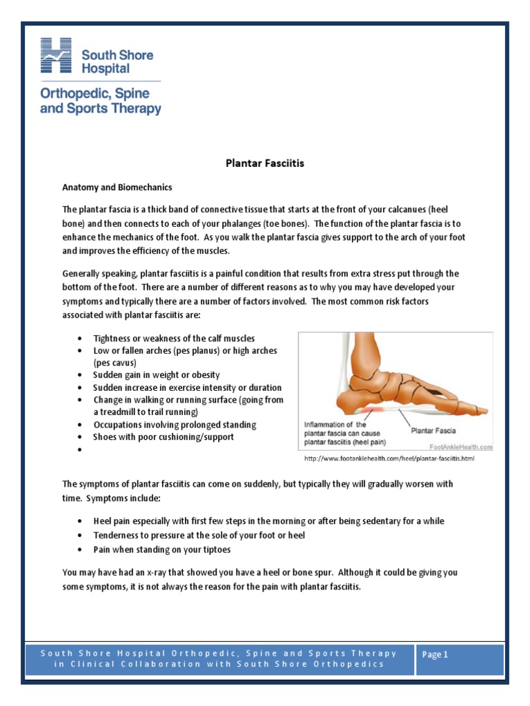 Plantar Fasciitis: Anatomy and Biomechanics | PDF | Foot | Human Leg