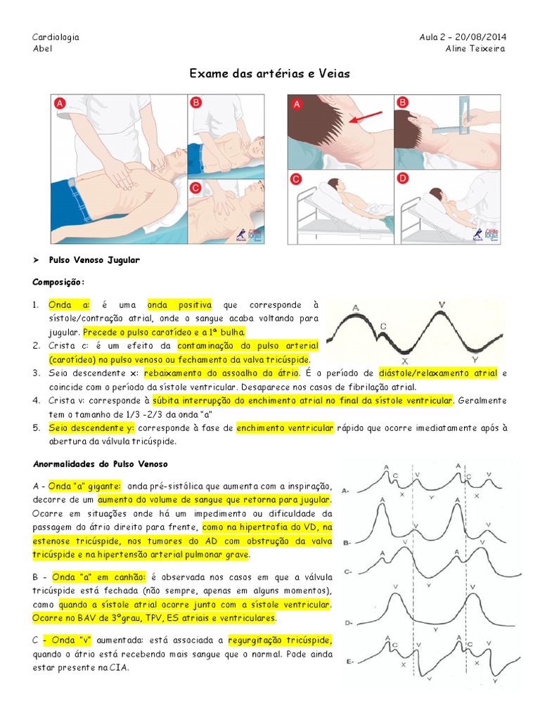 Aula 2 Cardiologia Exame Das Artérias e Veias PDF Ventrículo