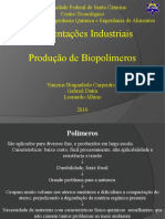 seminario biopolimeross