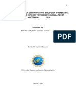 Tesis Naturaleza de La Contaminacion - Carquin Version Final para Adecuar A Apa