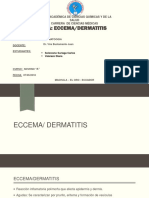 Dermatitis Dermatologia