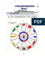 Ciclos Bioenergeticos del cuerpo.pdf