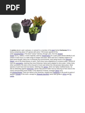 Cactus