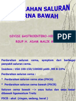 Divisi Gastroentero-Hepatologi Rsup.H. Adam Malik Medan