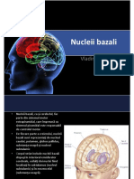 13. Nucleii bazali - Dr Makkai Vladimir.pdf
