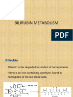 Bilirubinmetabolism 161101141346