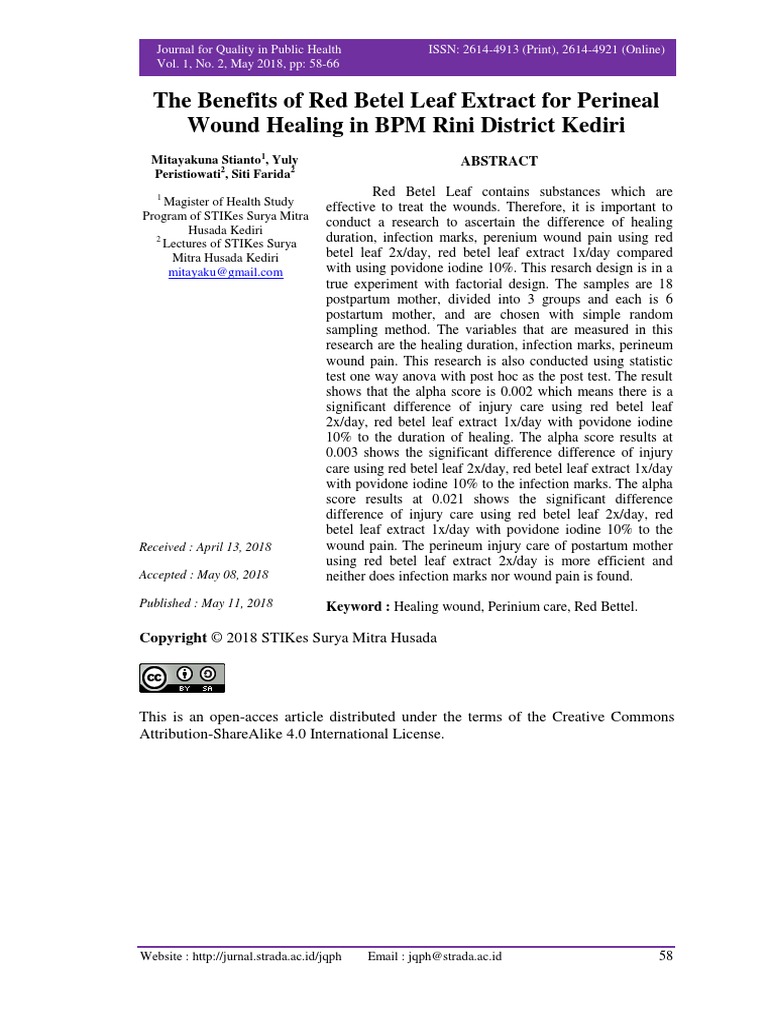 The Benefits of Red Betel Leaf Extract For Perineal Wound Healing in ...