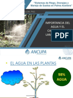 Agua y Las Plantas