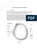 LP Subdural Higroma Beda Syaraf